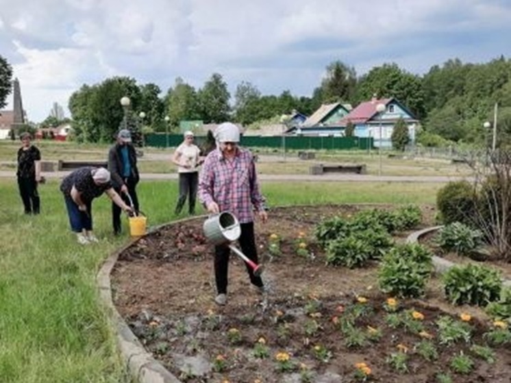 Фото: Администрация Андреапольского муниципального округа