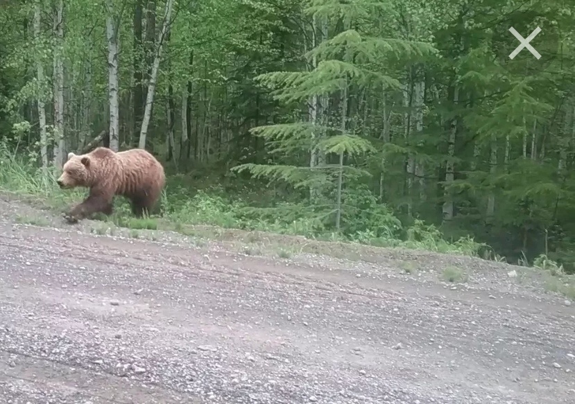 Фото: Ольга Копьёва/ВК