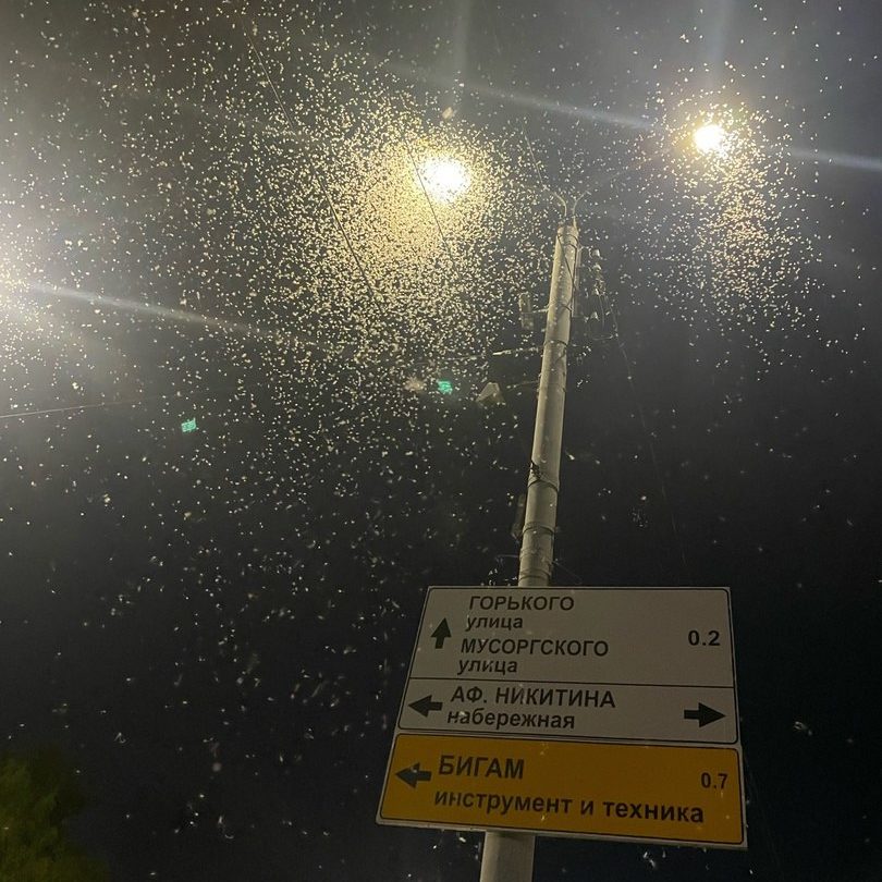 Фото: Телеграм-канал 