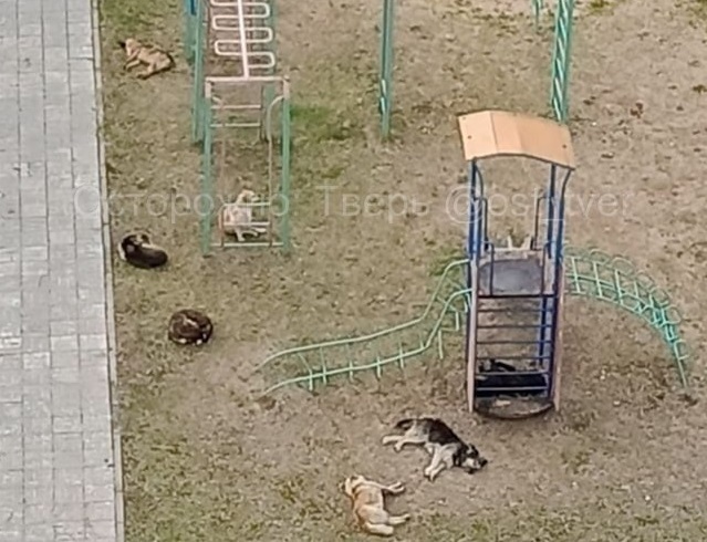 Фото: группа ВК 