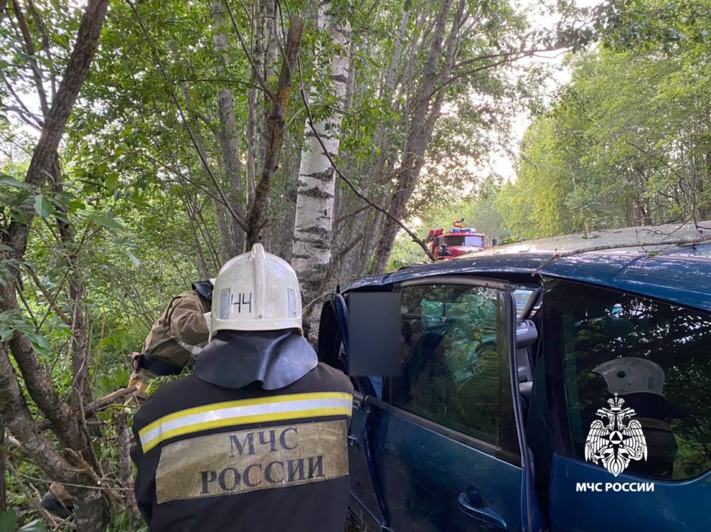 Фото: ГУ МЧС России по Тверской области