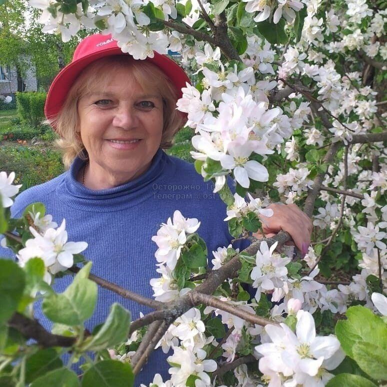 Фото: Телеграм-канал 