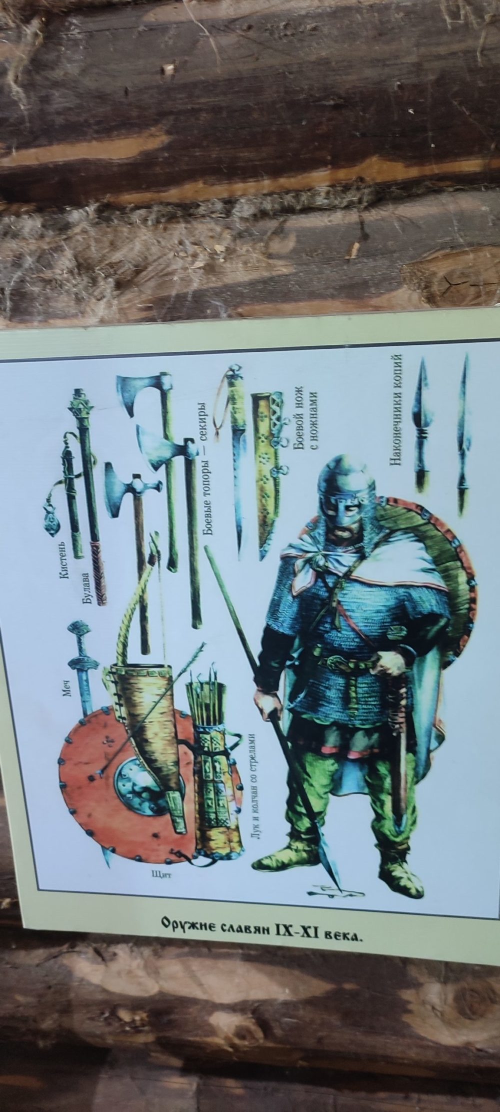 торопец васильева 1