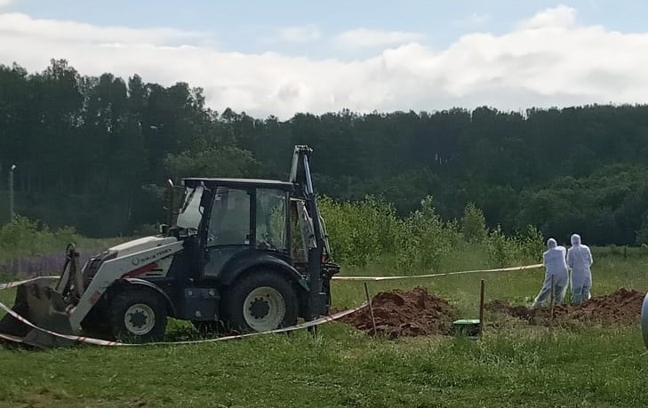 Фото: ГБУ «Нелидовская СББЖ»