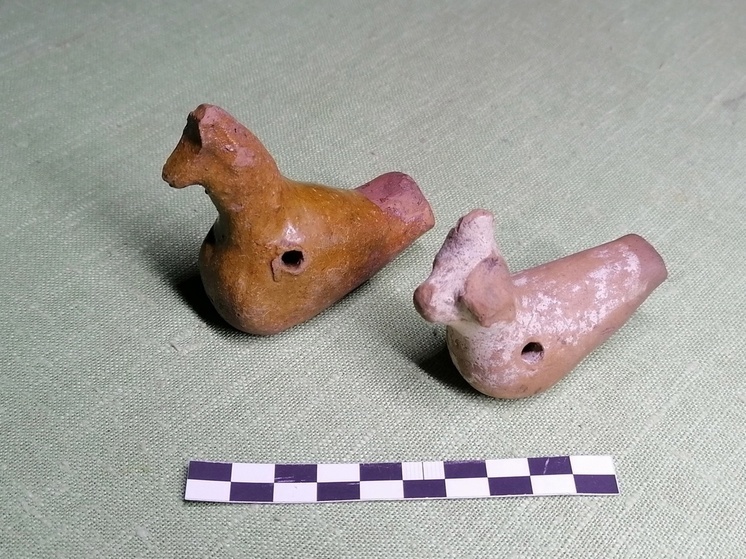 Фото: ВАЛЕРИЙ ЛИНКЕВИЧ/VK.COM