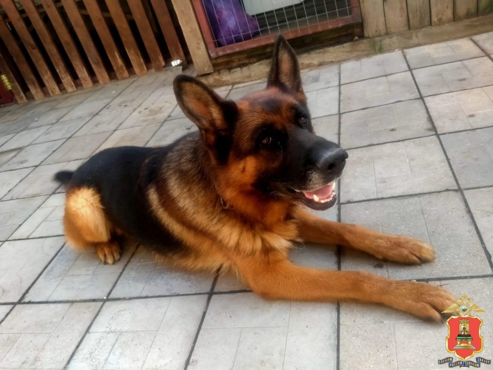 Фото: УМВД России по Тверской области