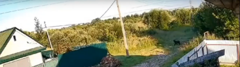 Фото: ВК-сообщество Кимры инфо