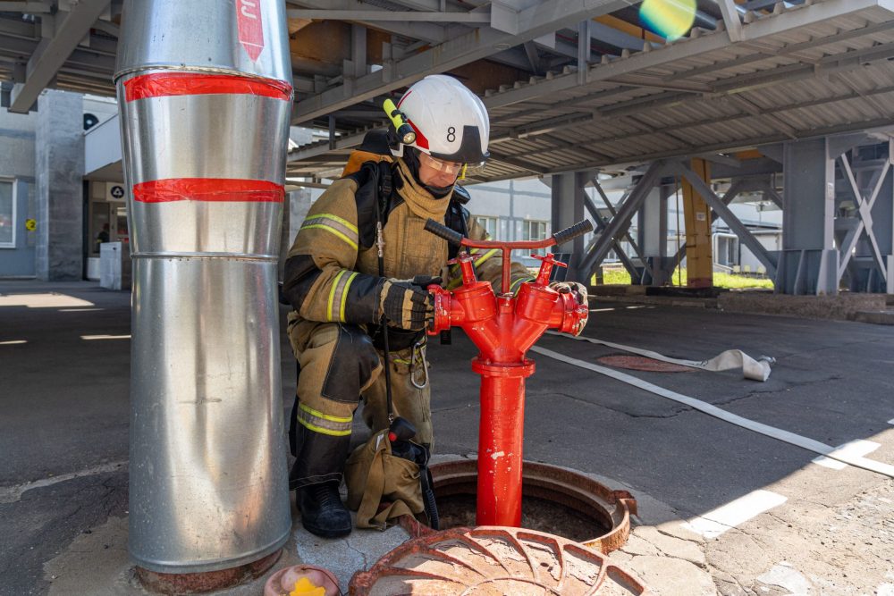 тренировка