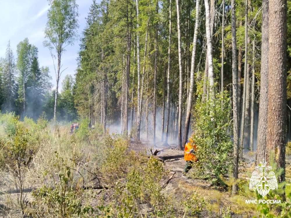 Фото: МЧС России по Тверской области