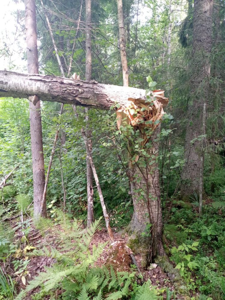 восстановление энергоснабжения