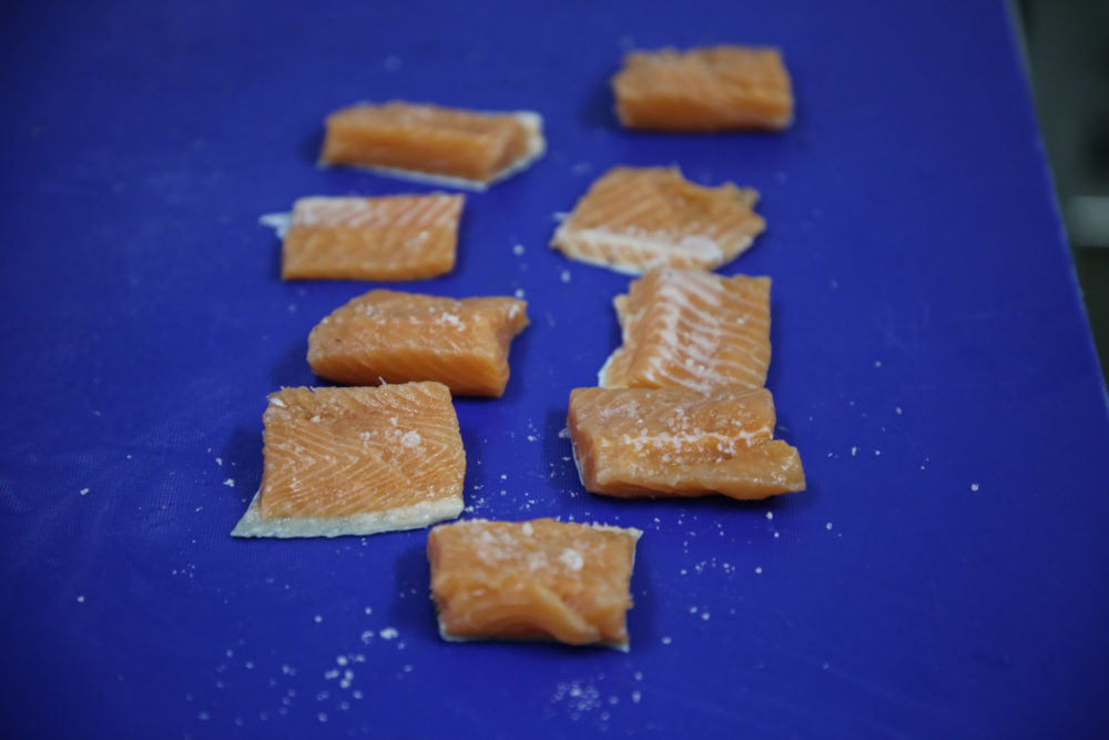 Фото: Кристина Белякова/РИА Верхневолжье