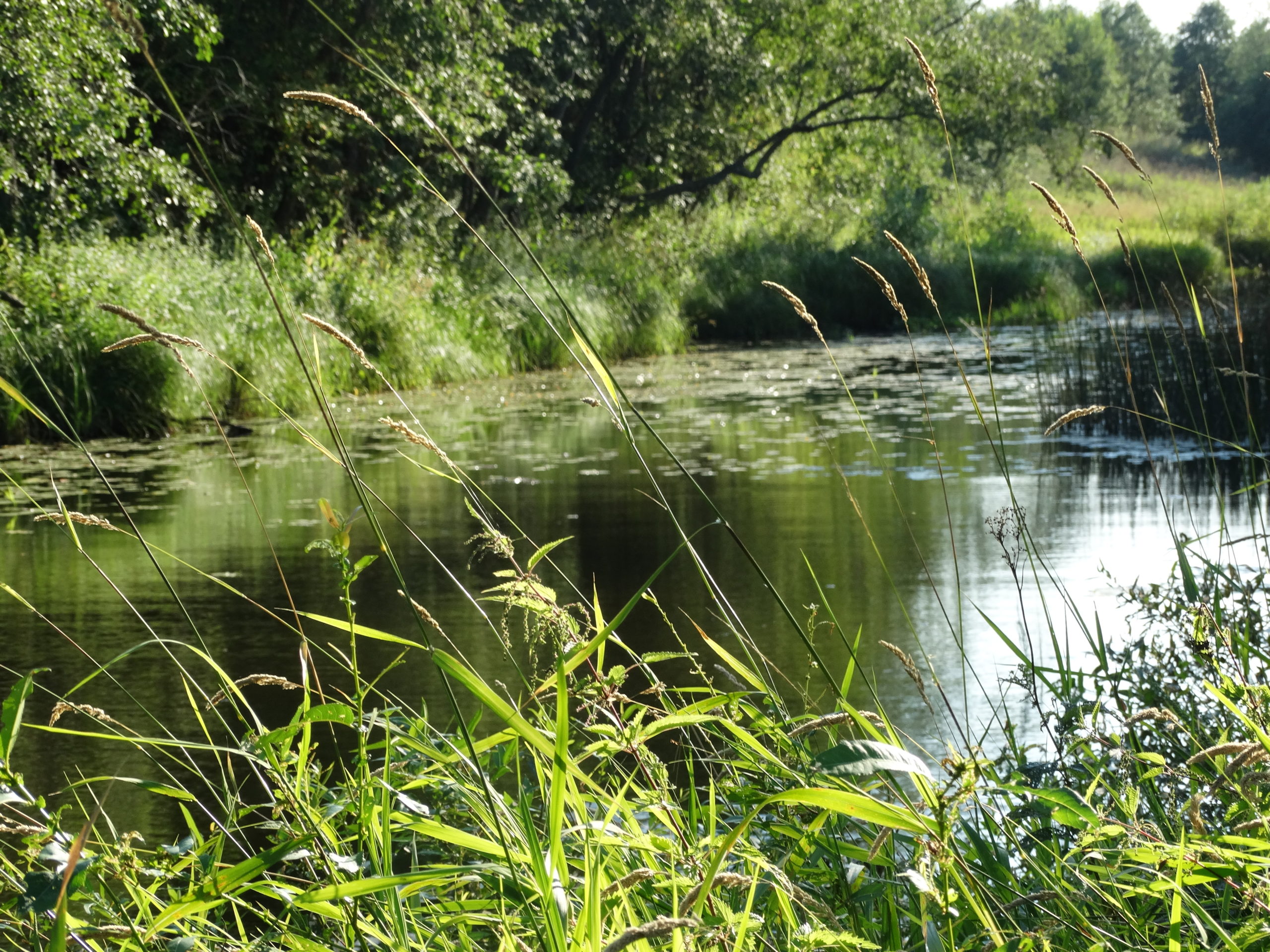 /РИА Верхневолжье