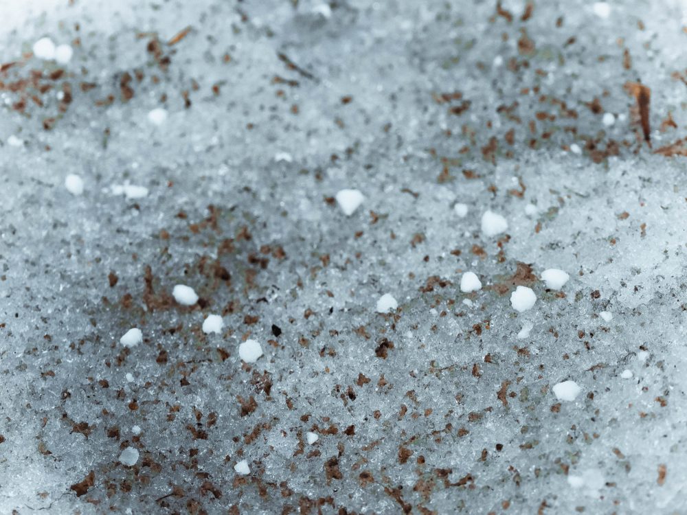 Фото: Кристина Белякова / РИА Верхневолжье