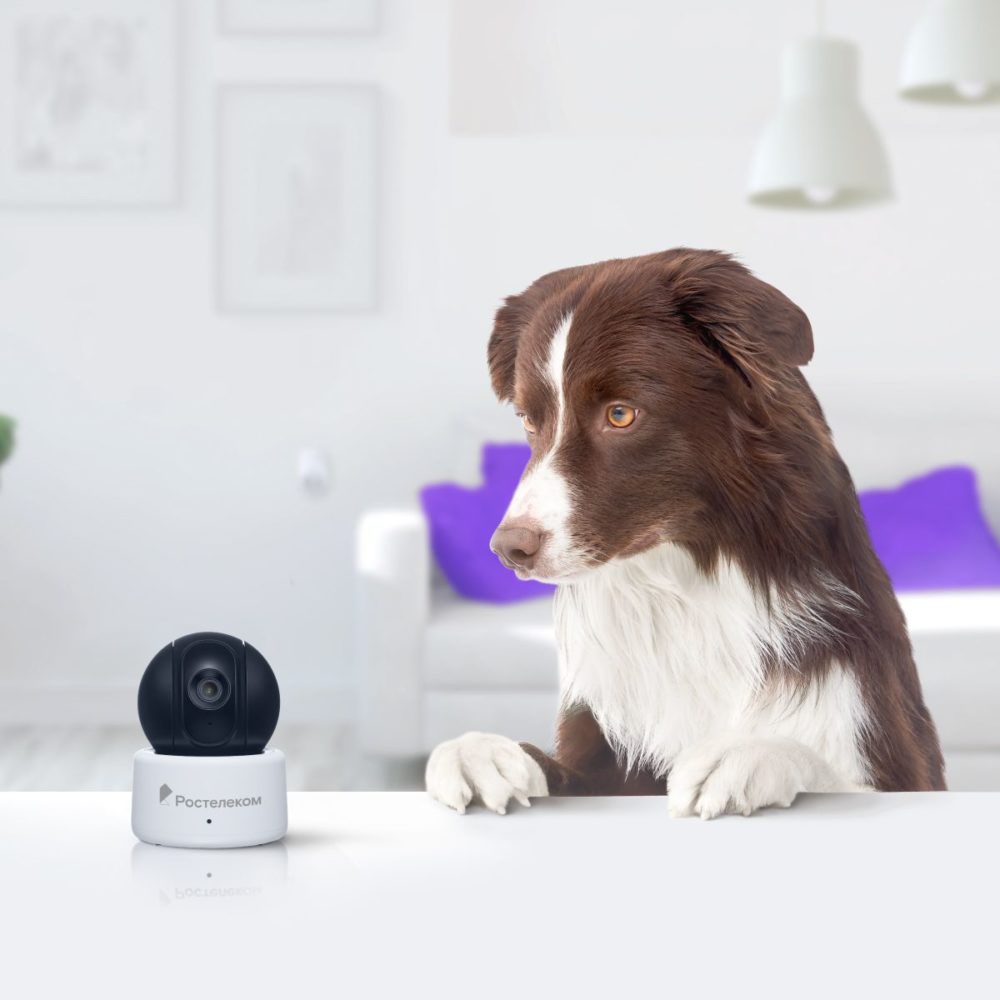 Домашнее видеонаблюдение