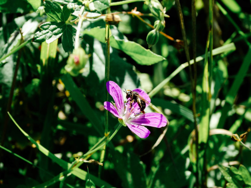 Фото: Кристина Белякова/РИА Верхневолжье
