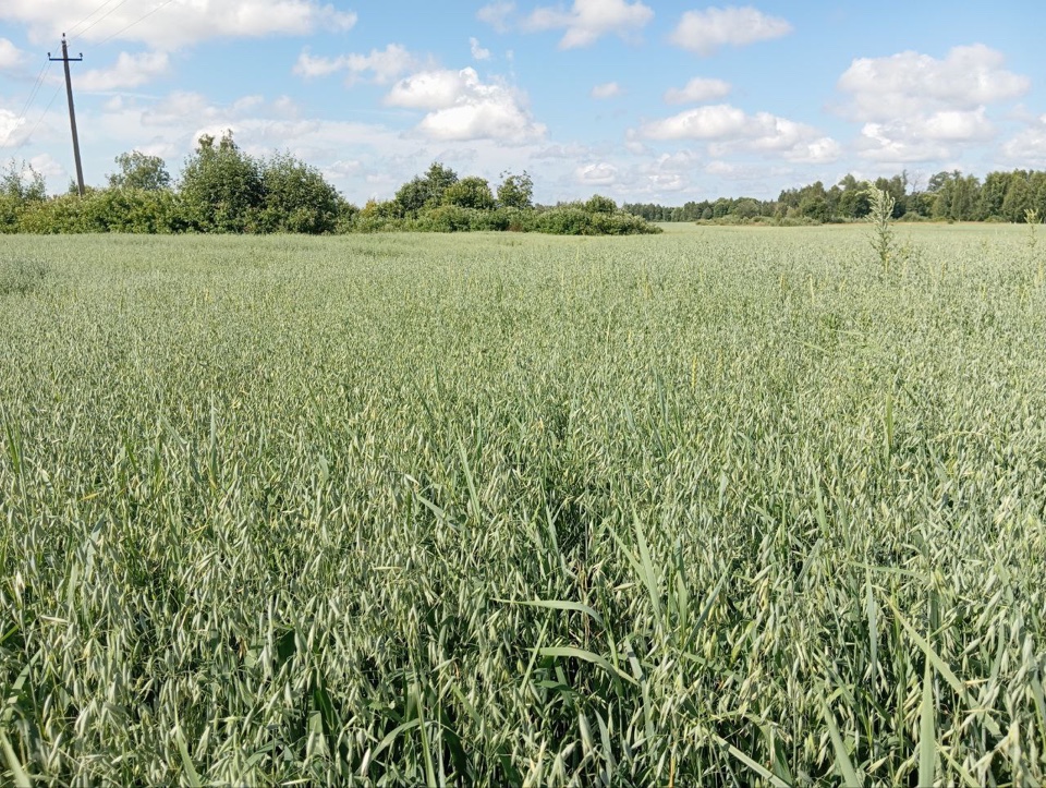 Фото: Россельхознадзор