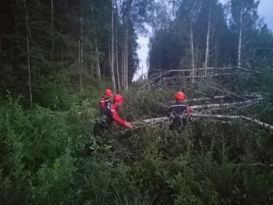 Фото: Россети