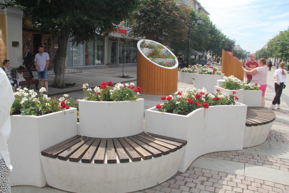 Фото: партия 