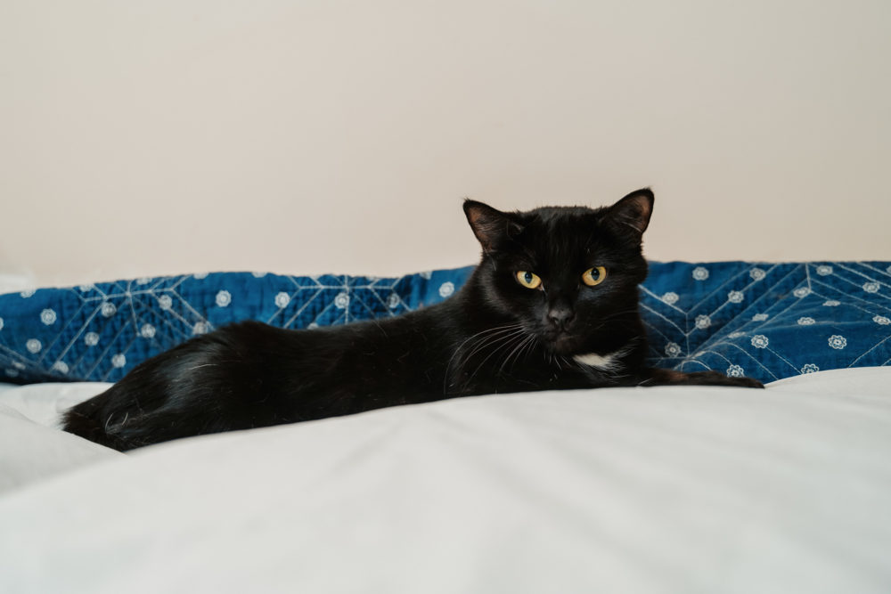 Школьников Максим (5) (1)