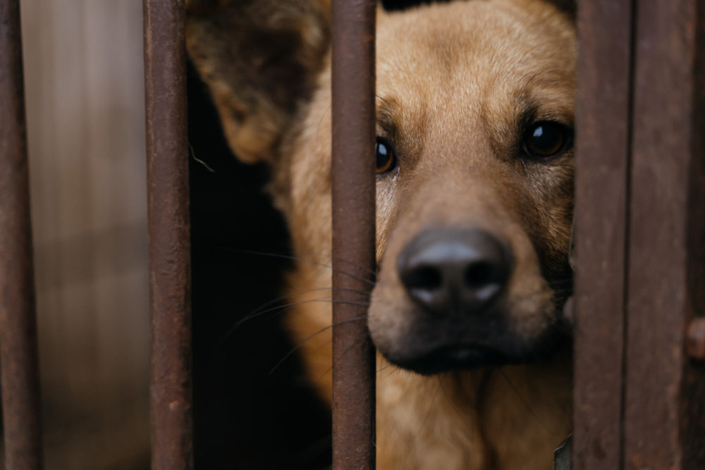 Фото: Максим Школьников/РИА Верхневолжье