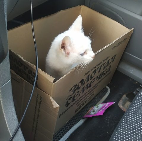 Фото: ВК-сообщество 