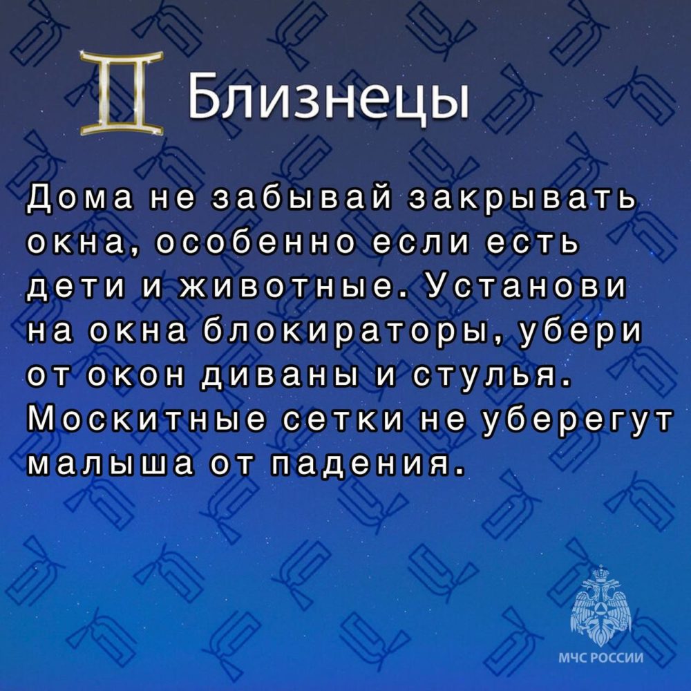 близнецы мчс