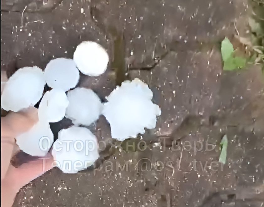 Фото: Арина Коновалова/Осторожно Тверь