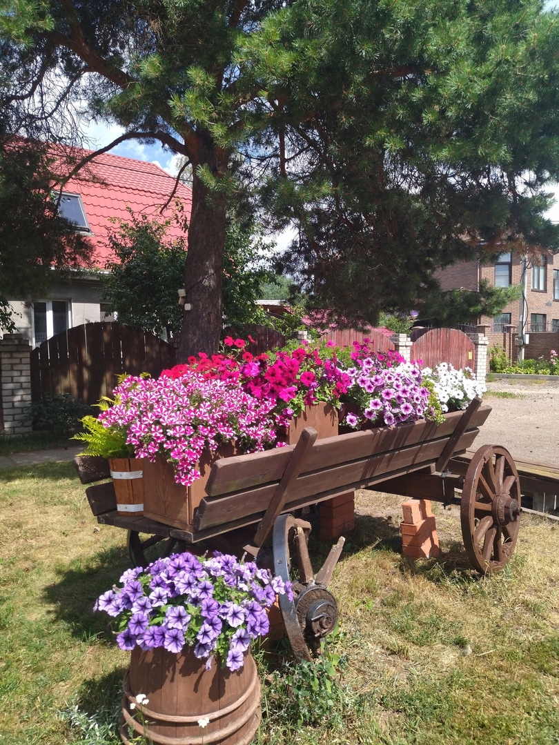 двор пролетарка тверь 1