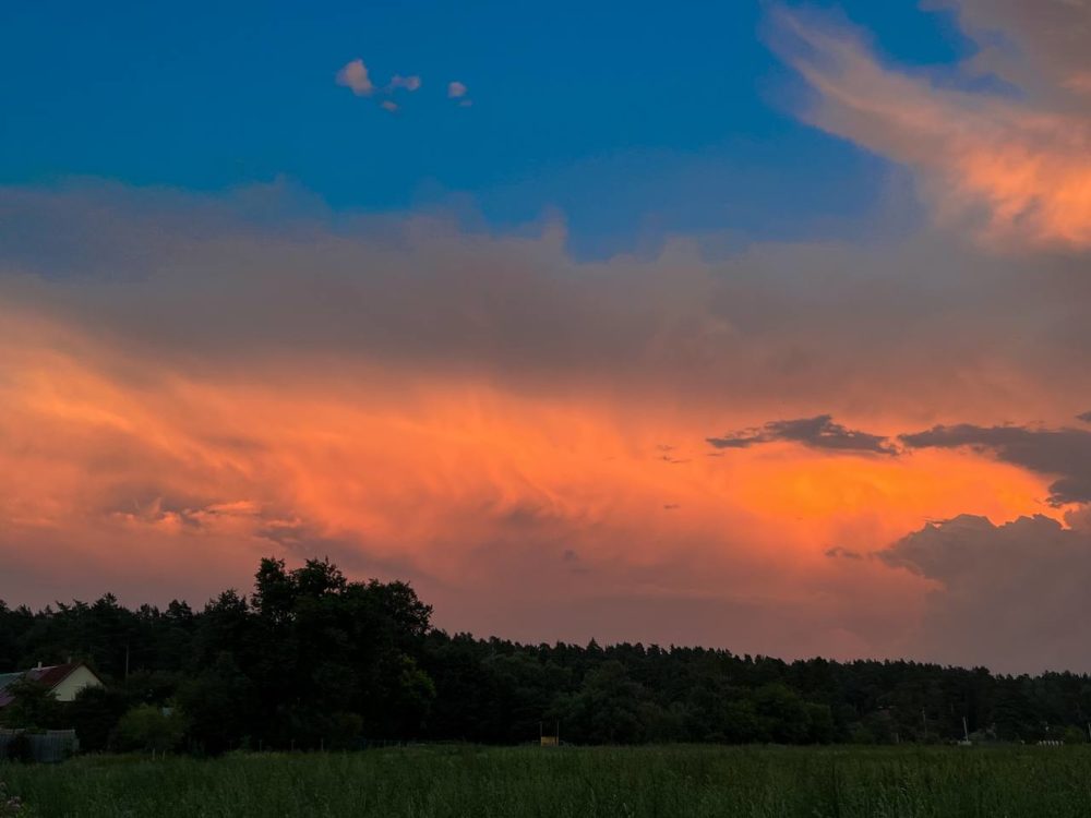 Фото: Екатерина Царева/МК в Твери