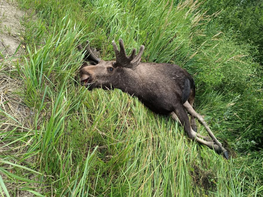 Фото: Кимры инфо