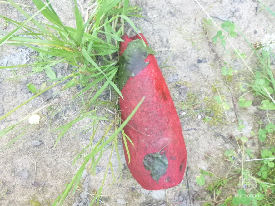 Фото: Главное управление
МЧС России
по Тверской области