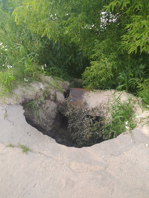 ника султанова тротуар на дарвина 2