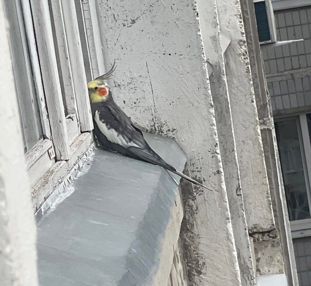 Фото: ВК-сообщество 