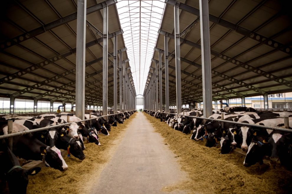 Фото: Правительство Тверской области