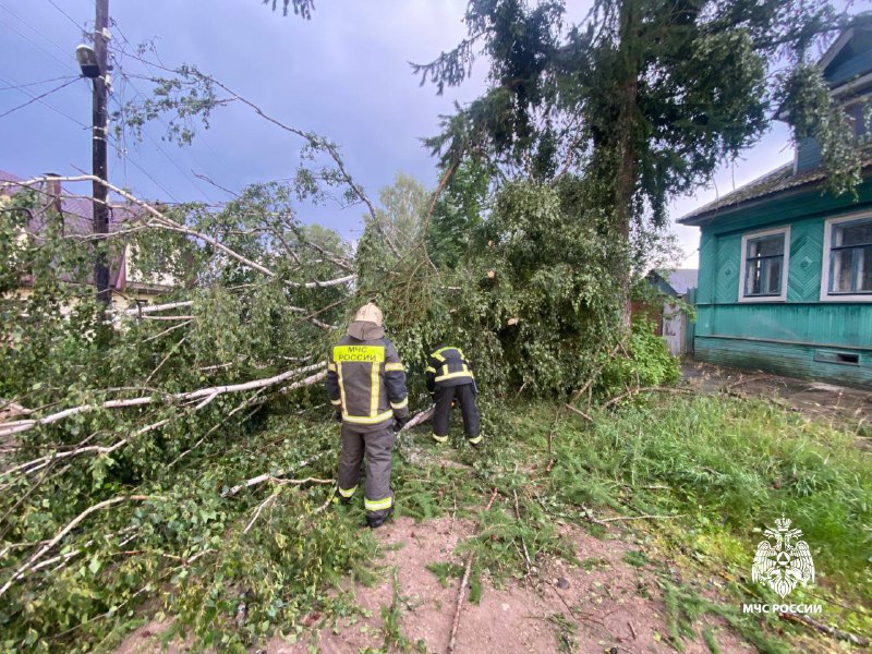 Фото: МЧС России по Тверской области