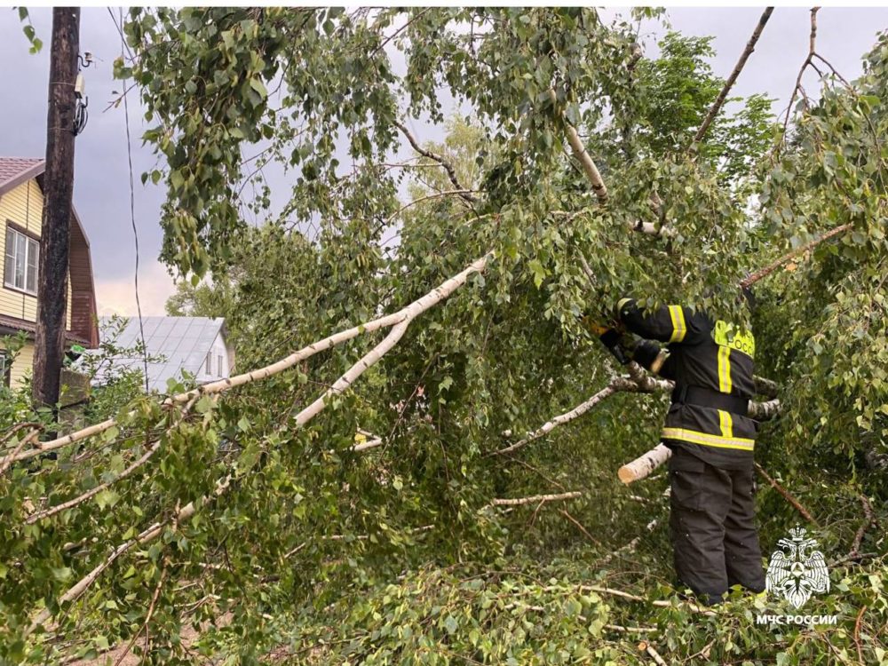 сильный ветер мчс ржев 2