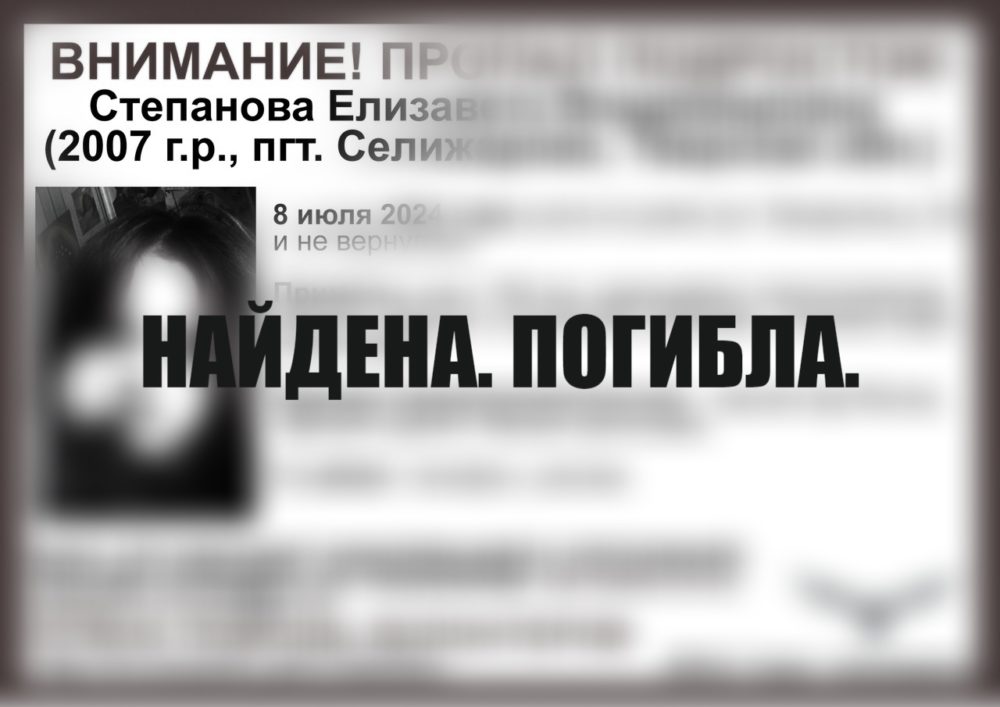 сова погибла степанова елизавета