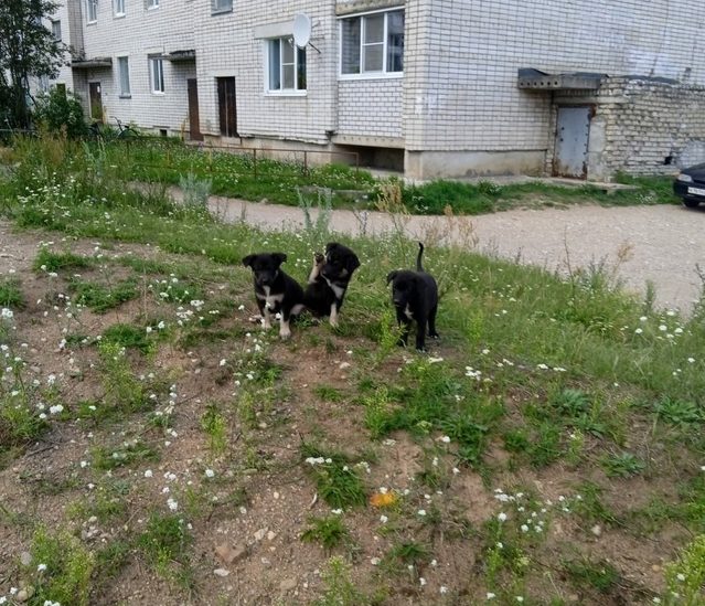 Фото: ВК-сообщество 