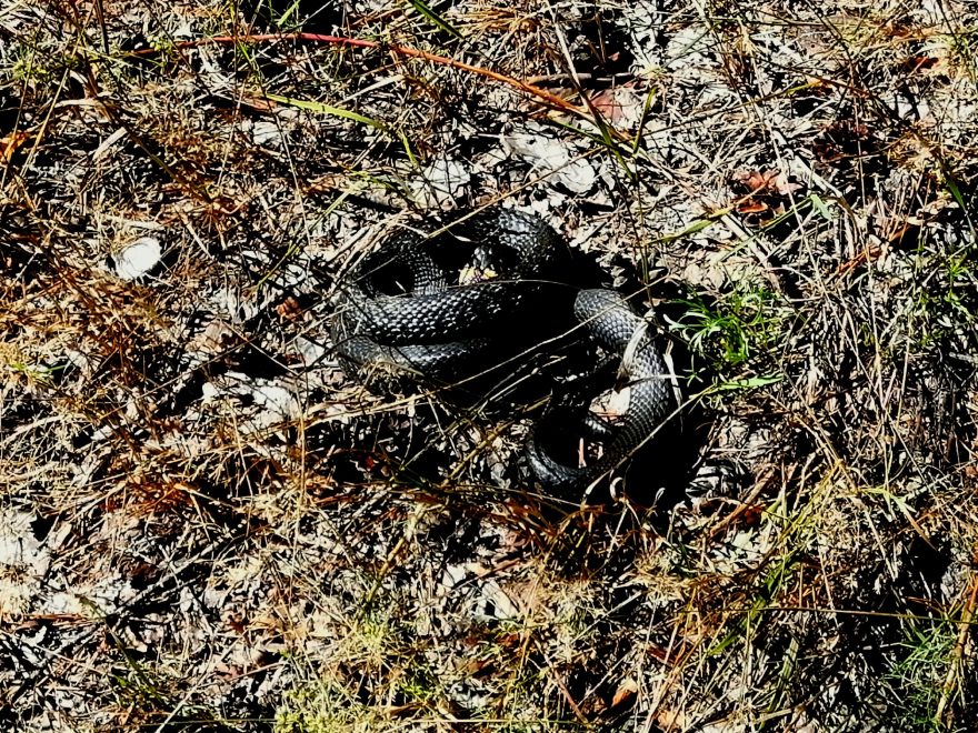 Фото: Мария Качалова/Тверь Натуральные новости ВКонтакте