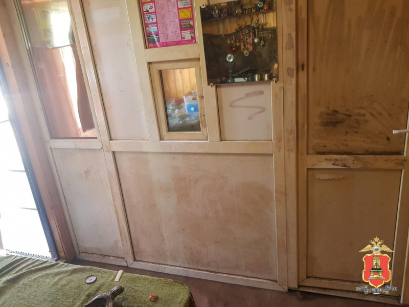 новозавидовский, кража