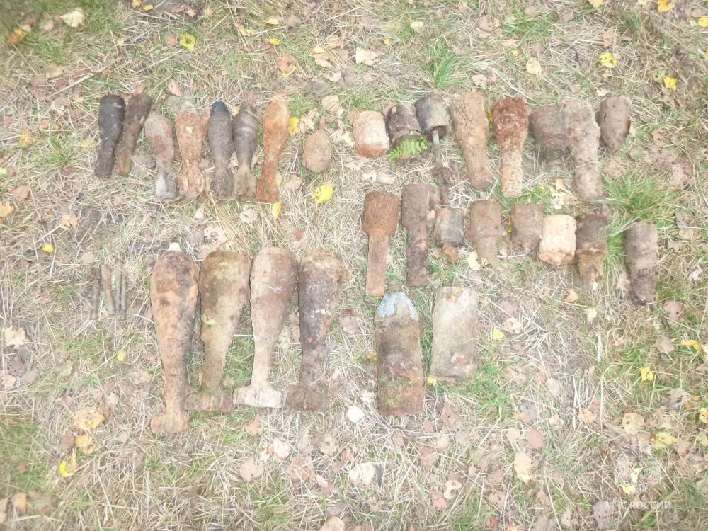 Фото: пресс-служба ГУ МЧС России по Тверской области