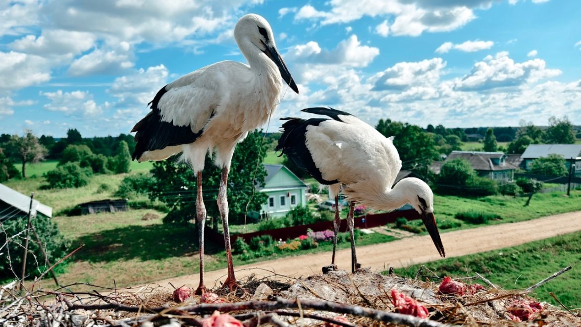 Фото: группа ВК 