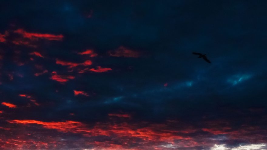 Белякова Кристина буря