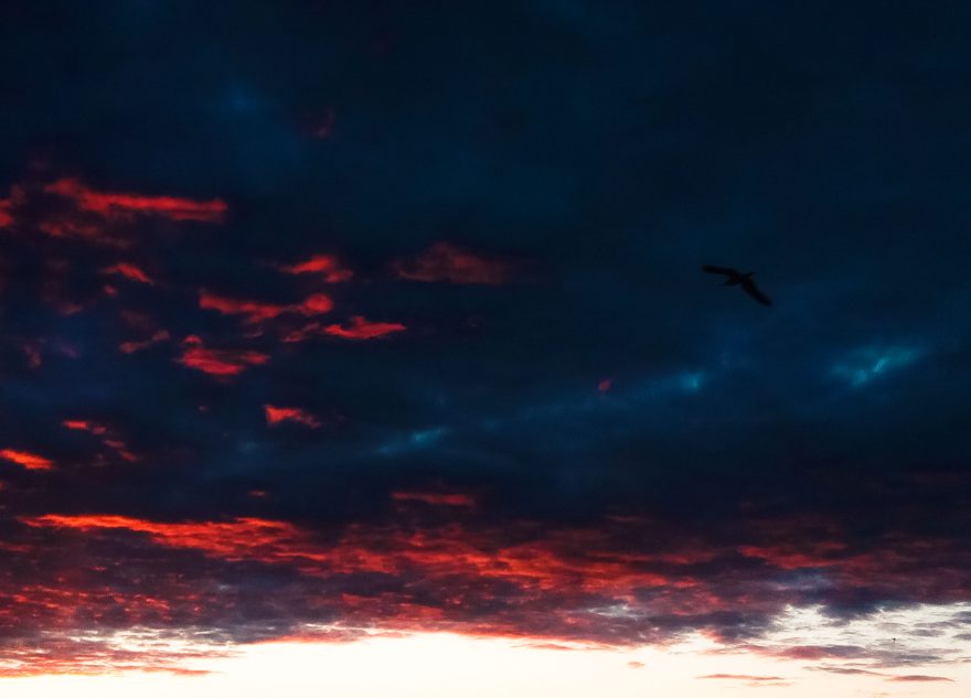 Белякова Кристина буря