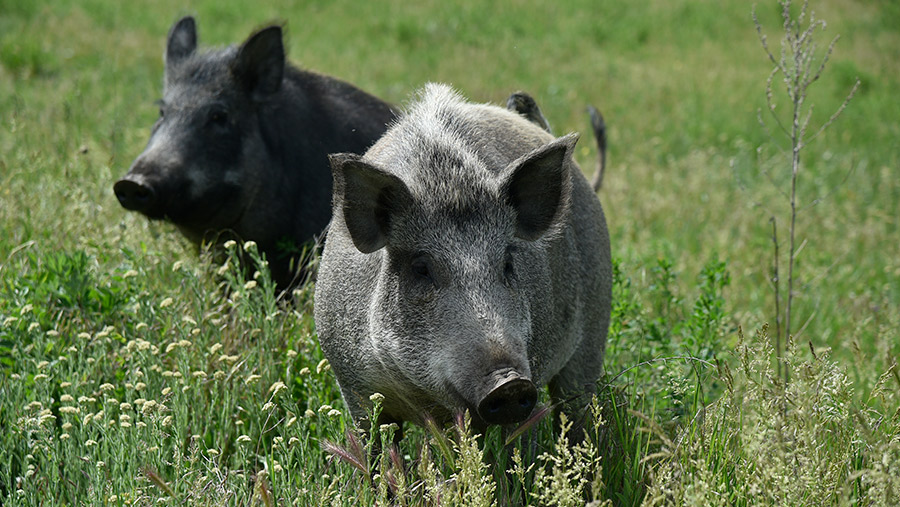 Фото: Александр Полетенько / ИЗВЕСТИЯ