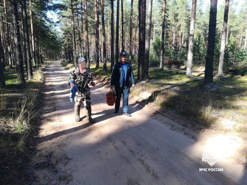 Фото: телеграм-канал МЧС России по Тверской области