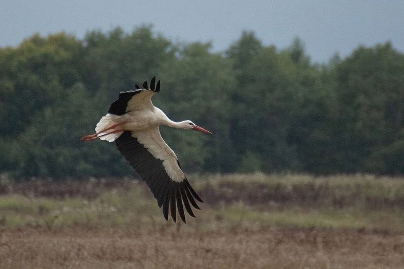 Фото: Анна Купцова / телеграм-канал 