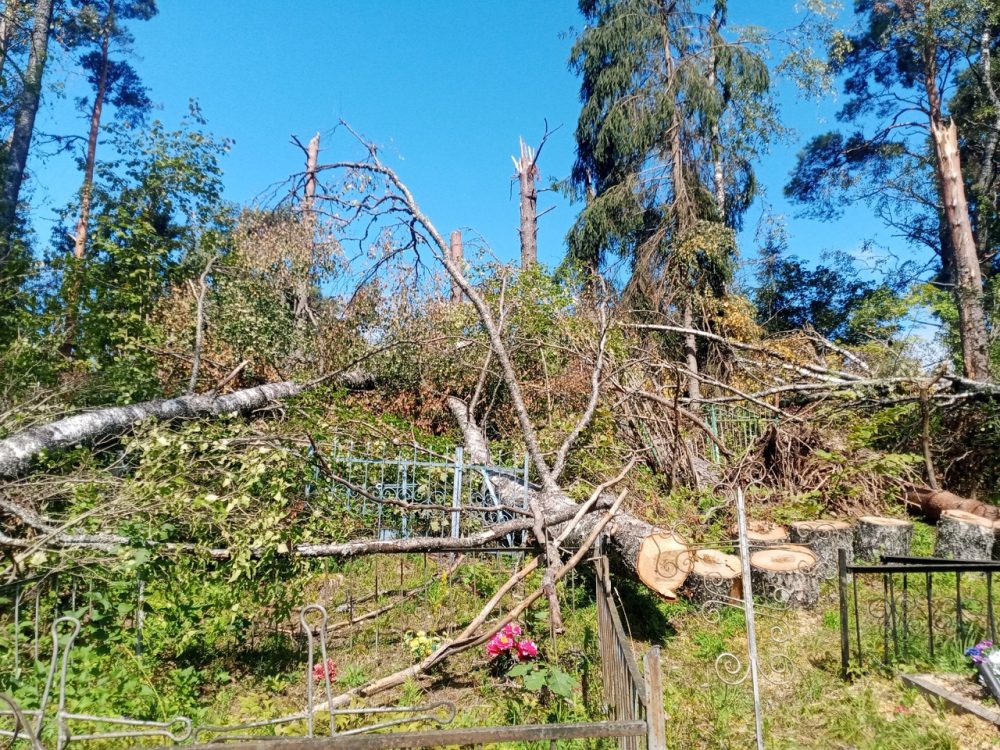 Фото: ВК-сообщество 
Добровольческий Отряд 