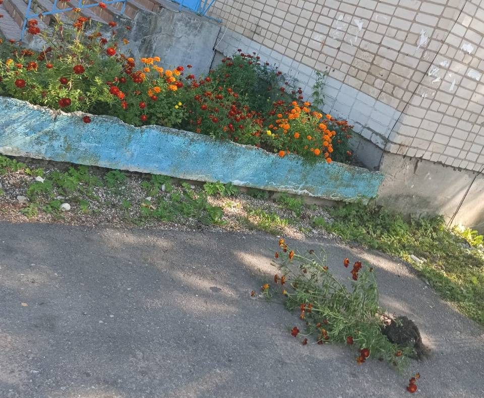 Фото: телеграм-канал 