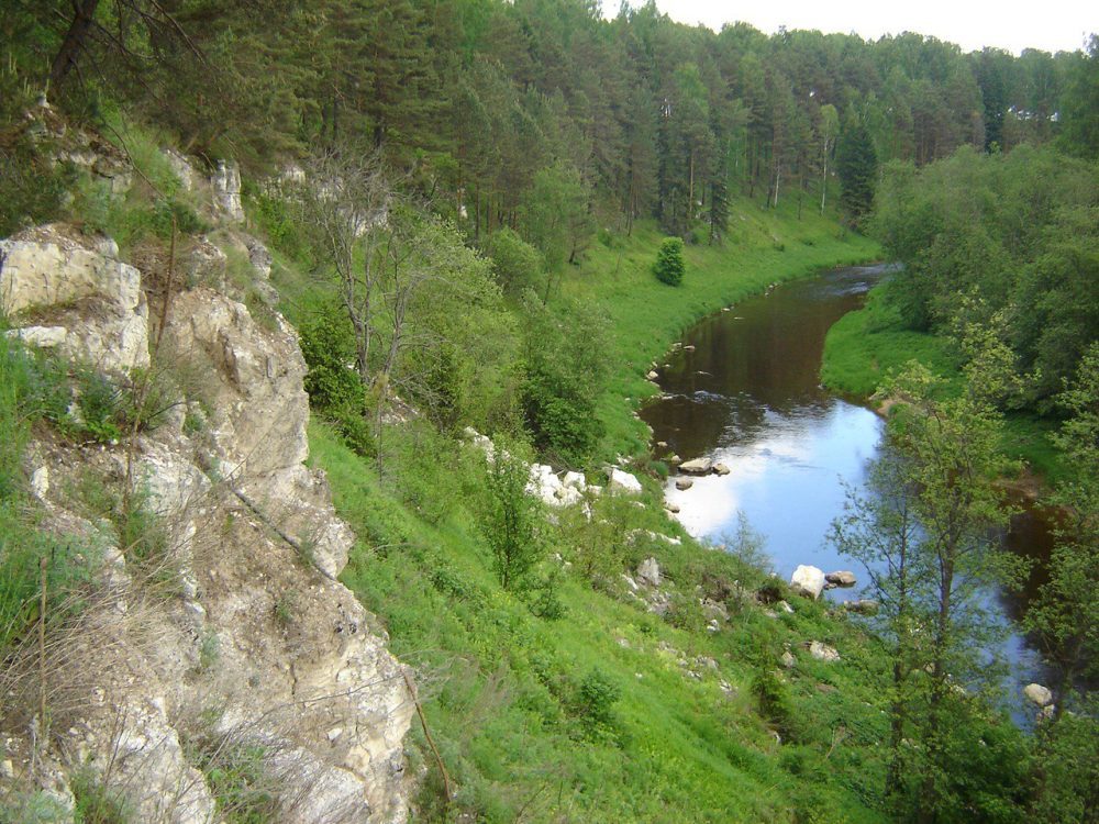 день города зубцов 3